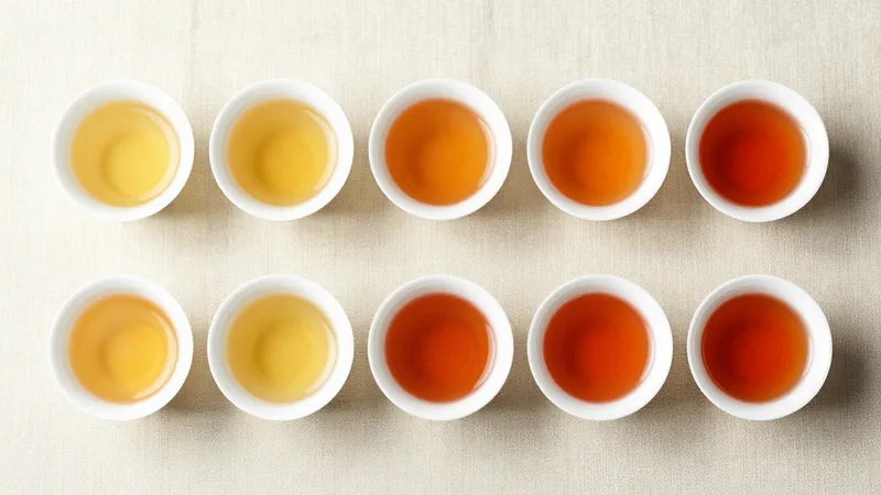 Ten small white porcelain tasting cups in two rows holding tea infusions that range from pale yellow through amber to dark reddish brown